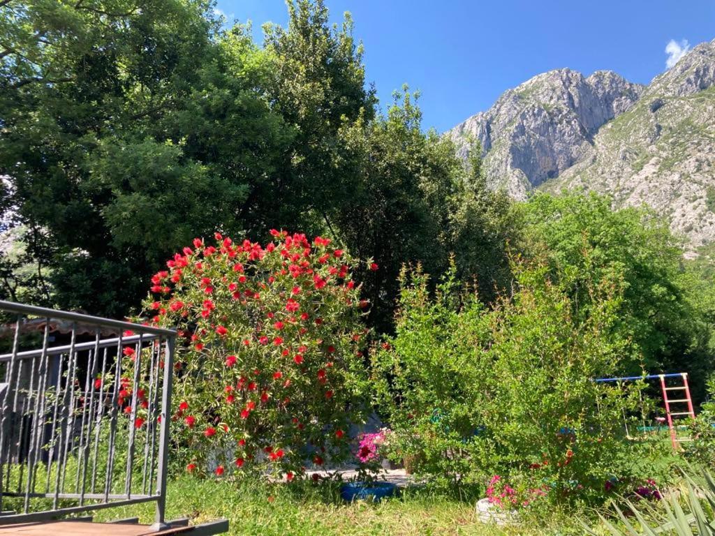 Apartments Villa Eden Kotor Exteriör bild