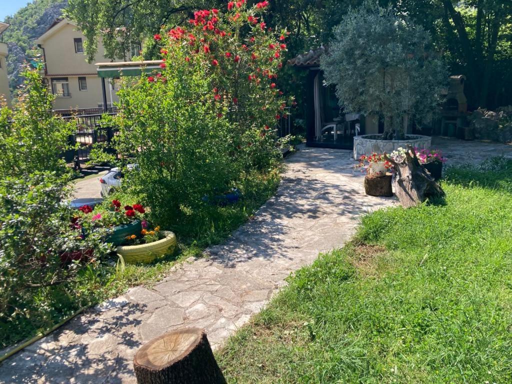Apartments Villa Eden Kotor Exteriör bild