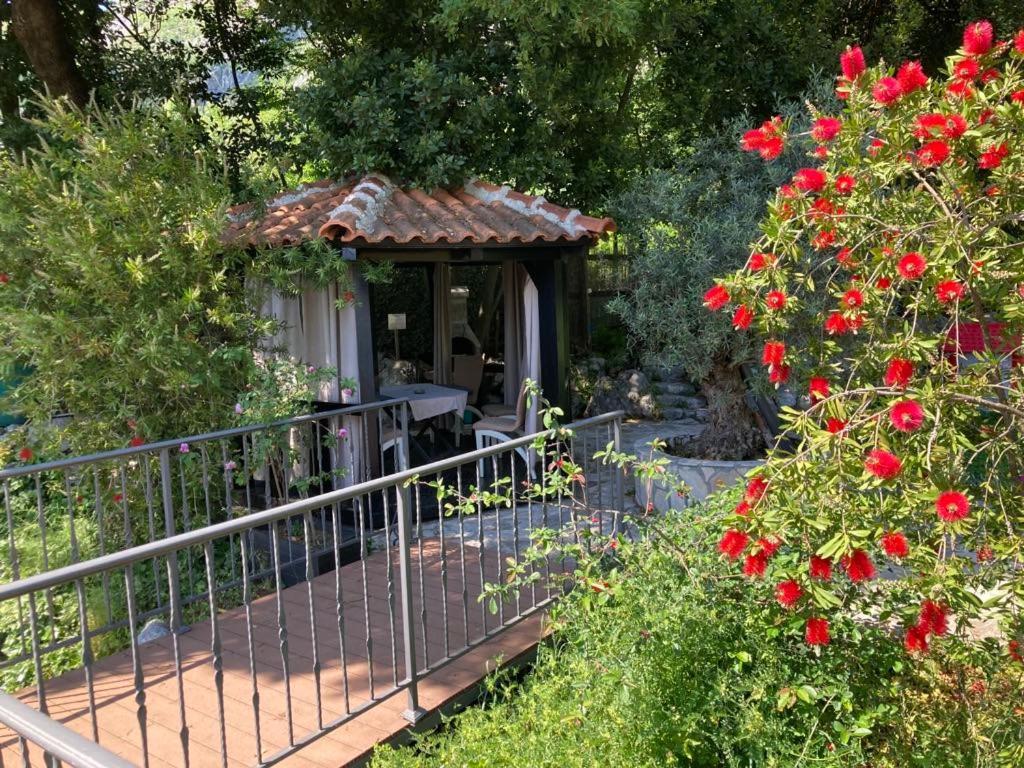Apartments Villa Eden Kotor Exteriör bild